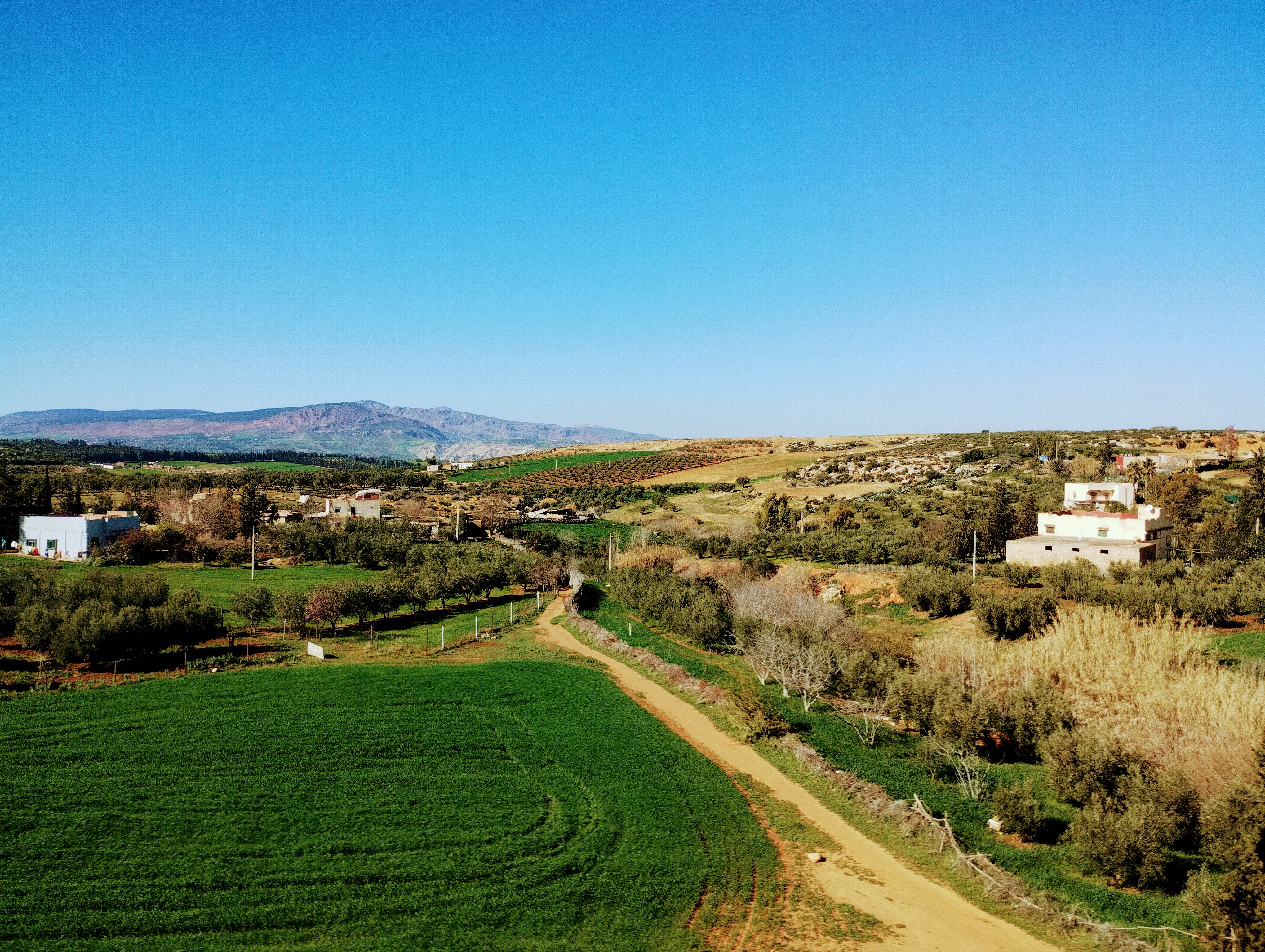 Rural Moroccan landscape featuring green fields, olive groves, and a winding dirt road leading toward a cluster of white buildings and distant mountains under a clear blue sky.