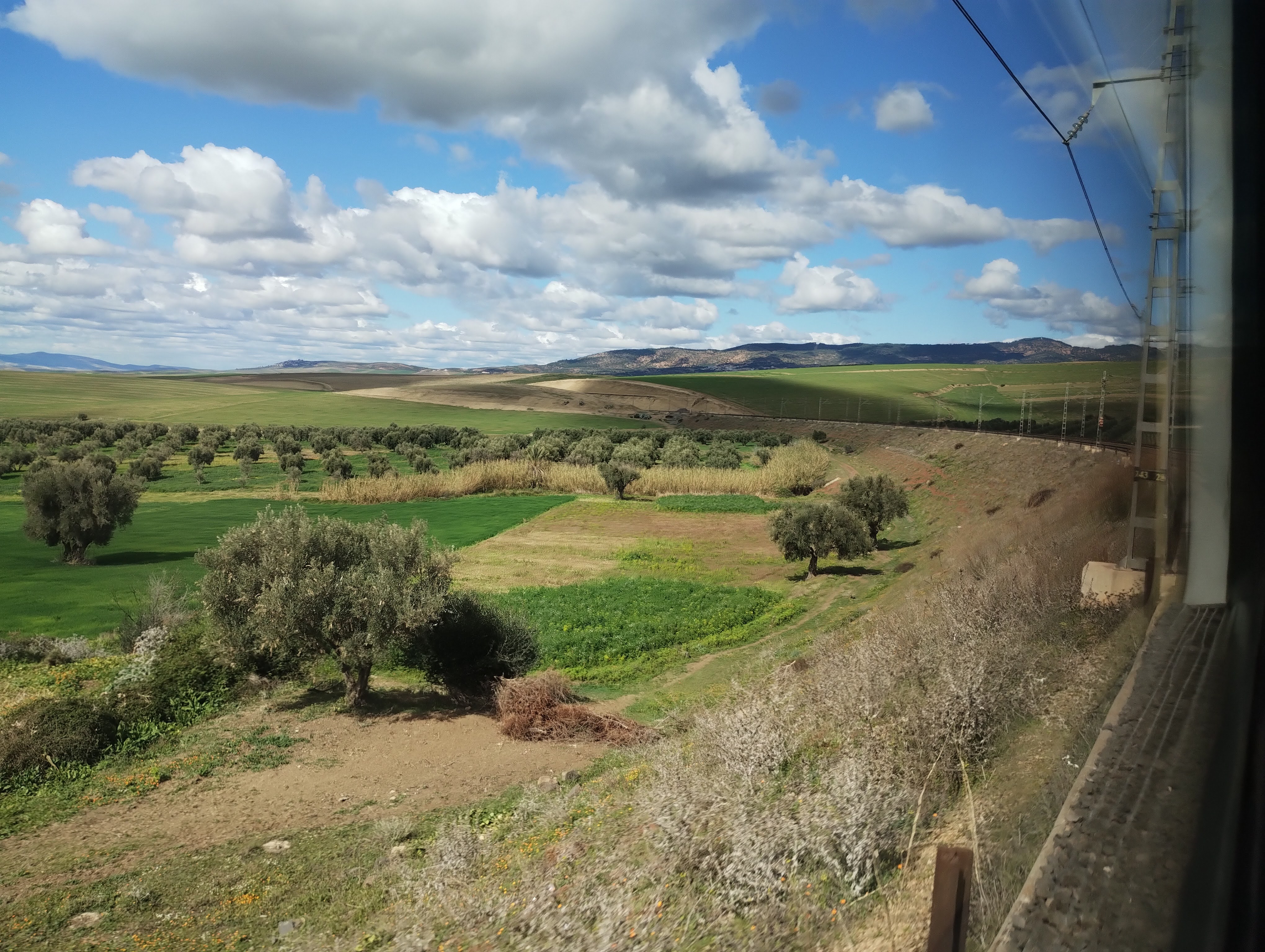 View of cultivated fields under a partly cloudy sky, seen from a train window; olive and Argan trees dot the landscape, with visible crops of green fields and patches of brown earth.
