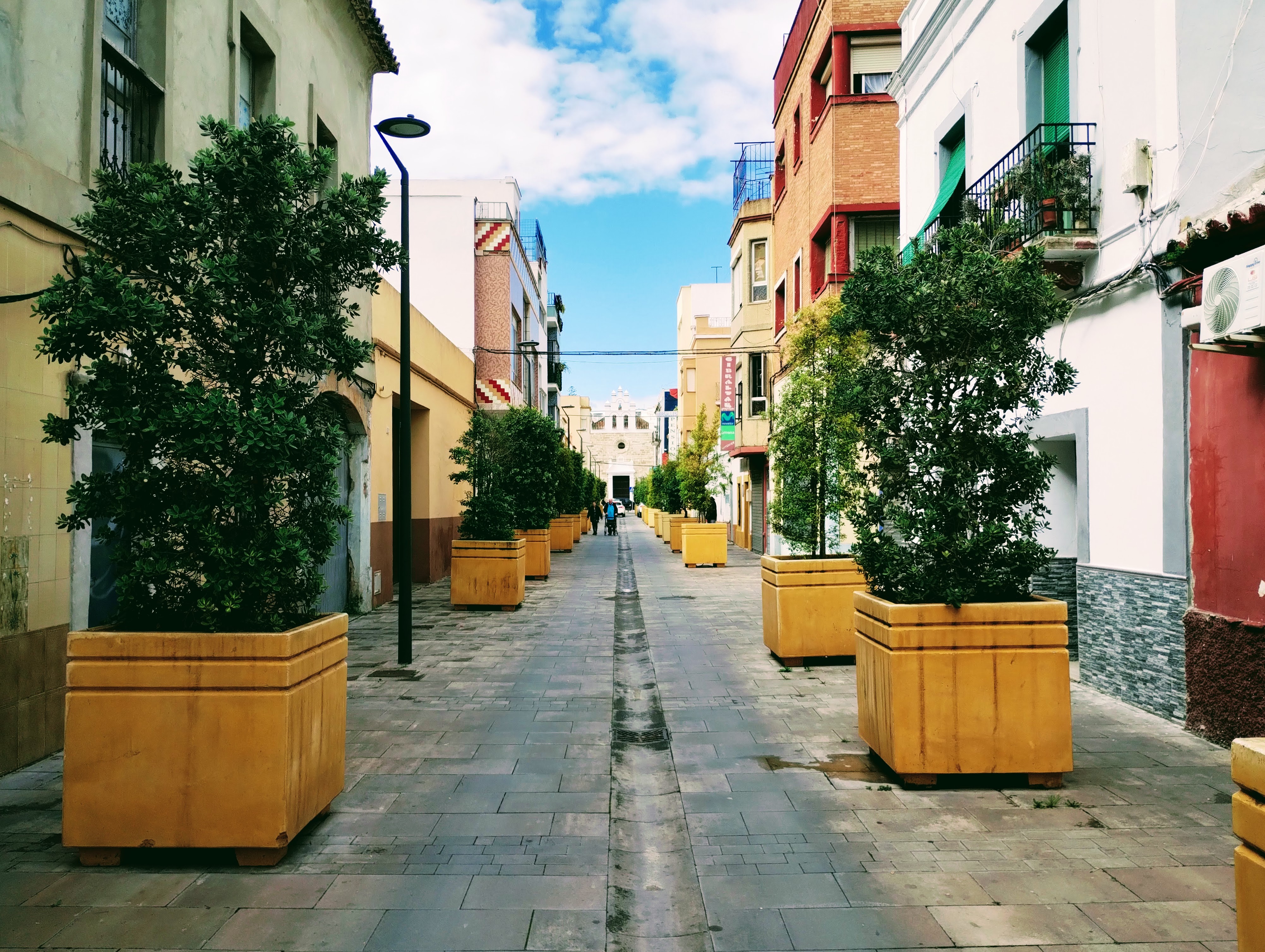 View down a residential street in Algeciras flanked with trees in wooden planters.