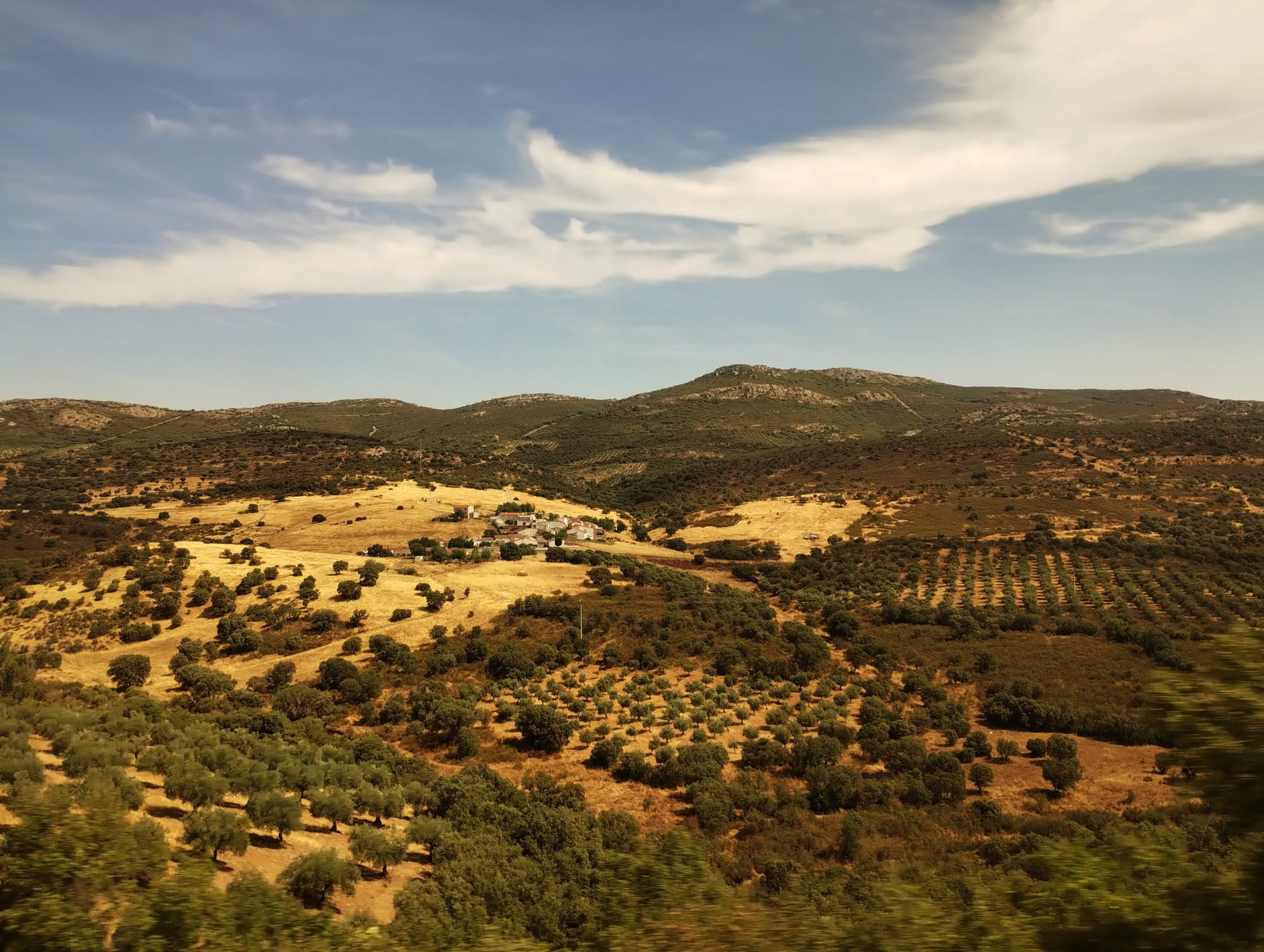 Panoramic view of rolling hills and a small village under a partly cloudy blue sky, featuring fields of olive trees and dry, golden grasses.