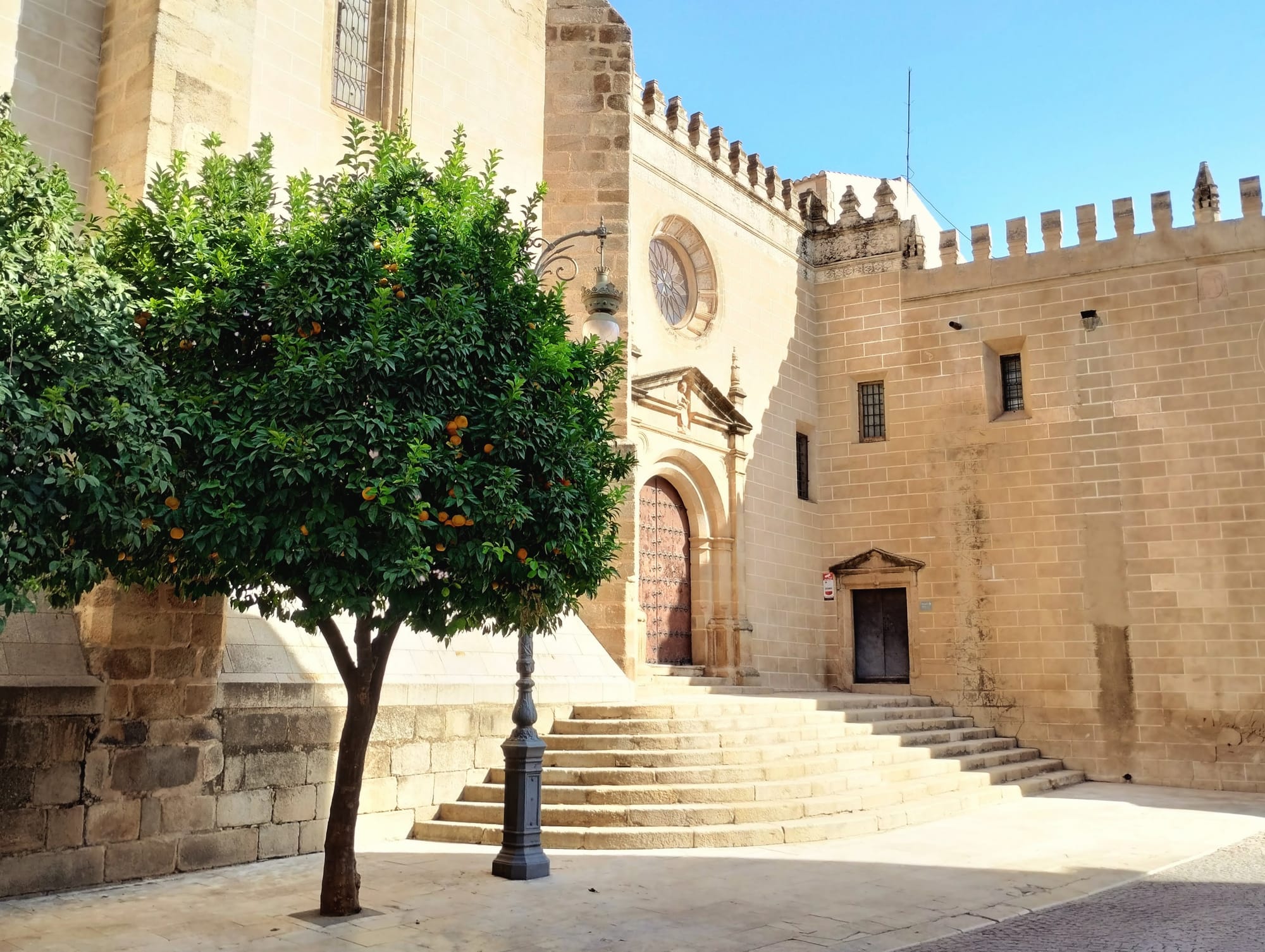 An orange tree in front of a cathedral church, with a stone staircase leading to a door.