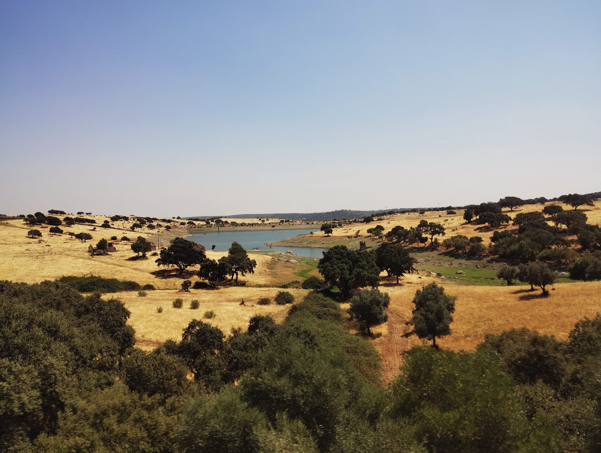 Golden brown rolling terrain dotted with sparse trees, leading to a body of water under a clear blue sky.