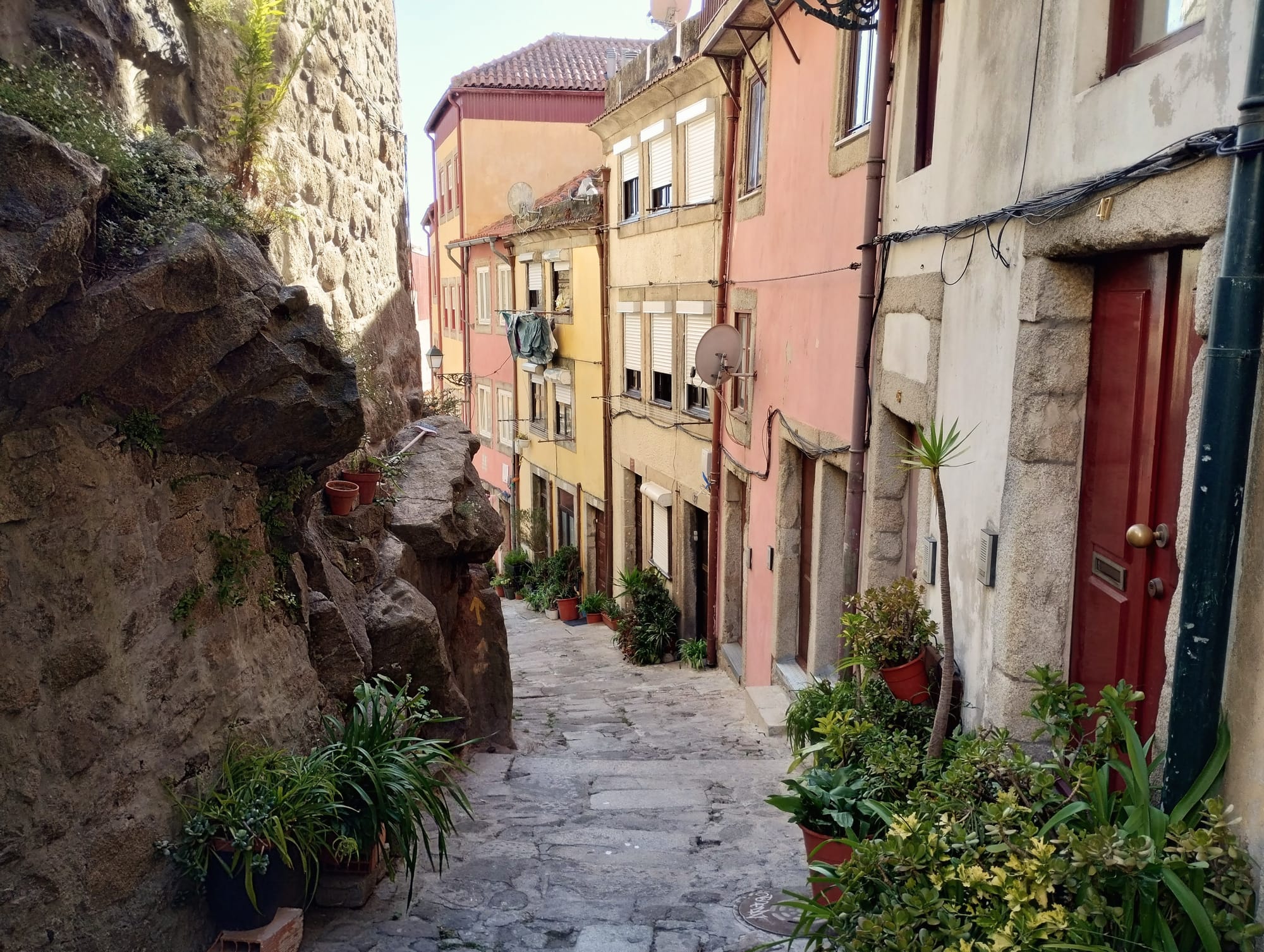 Narrow cobblestone street in Porto, Portugal, flanked by a large stone wall with potted plants and colourful houses.