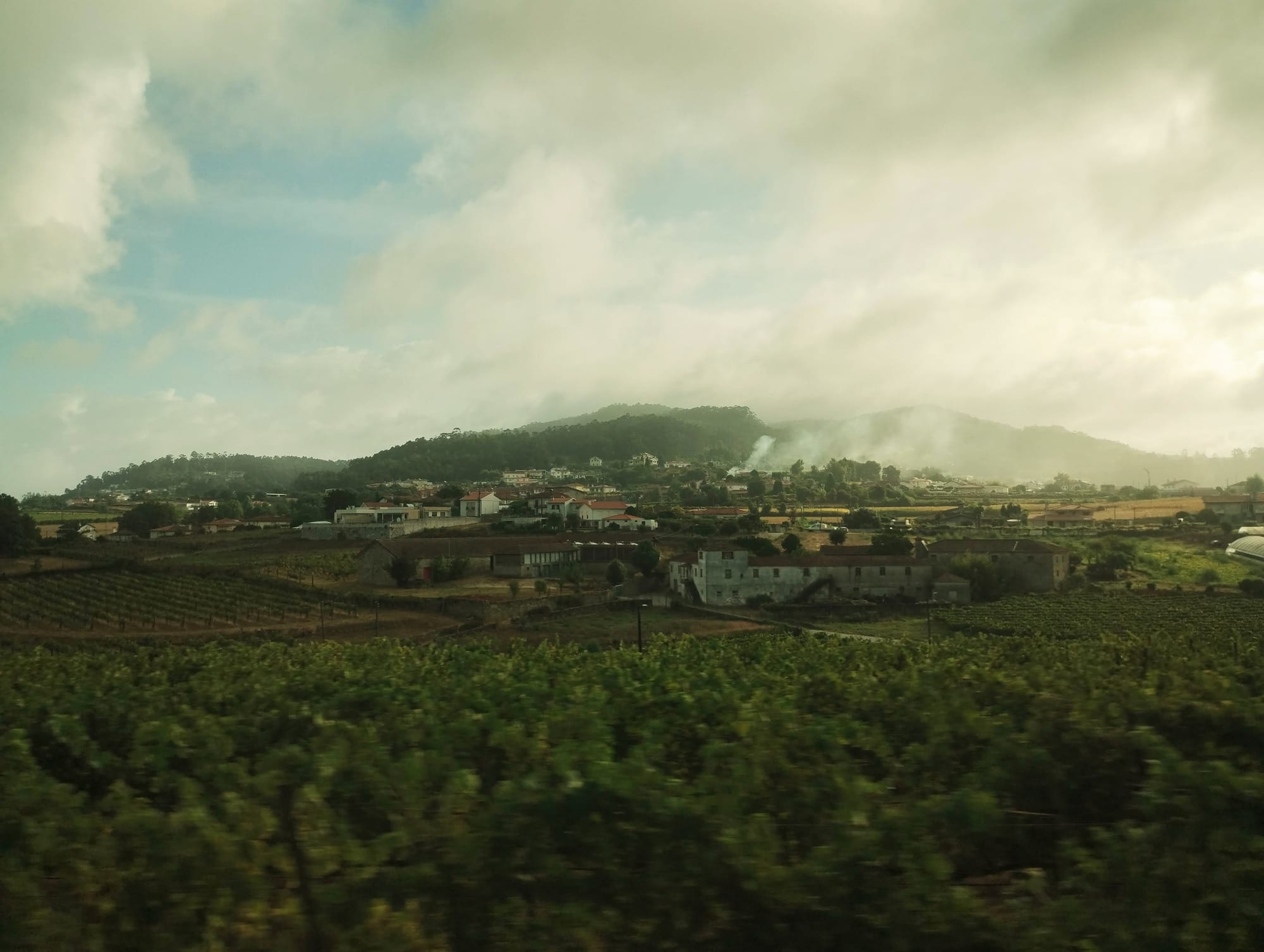 Hilly landscape with a town in the distance, seen from a moving train, with a foreground of vineyards and a cloudy sky. A building in the centre of the image has mist rising from behind it.
