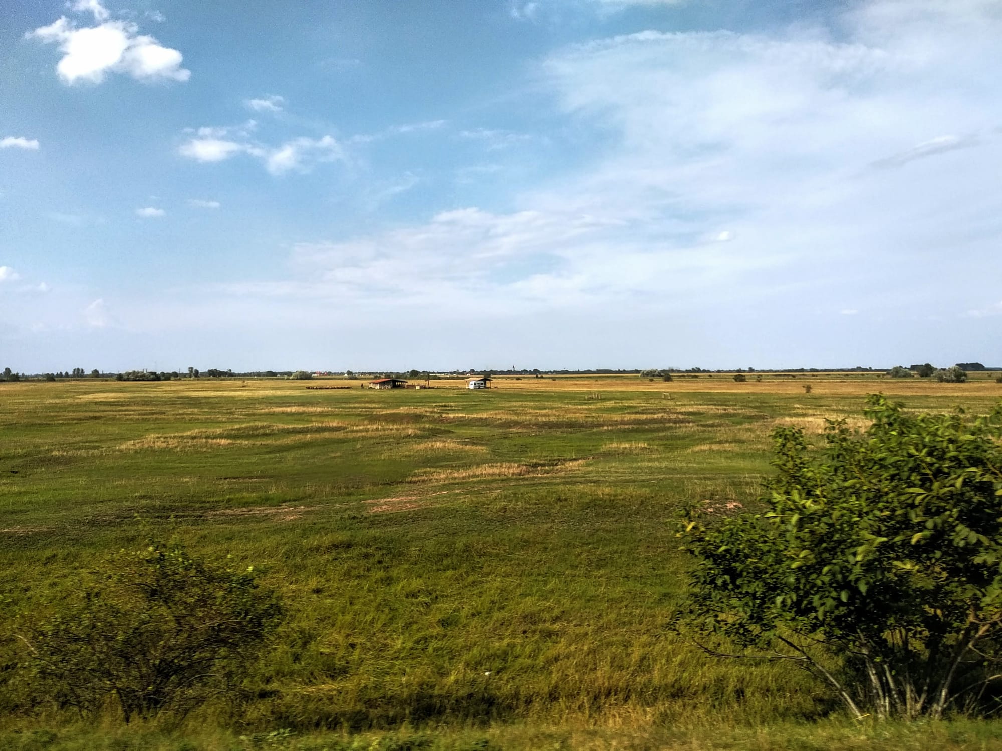 A vast, grassy plain under a blue sky dotted with fluffy white clouds. In the sitance, a small building and some trees.