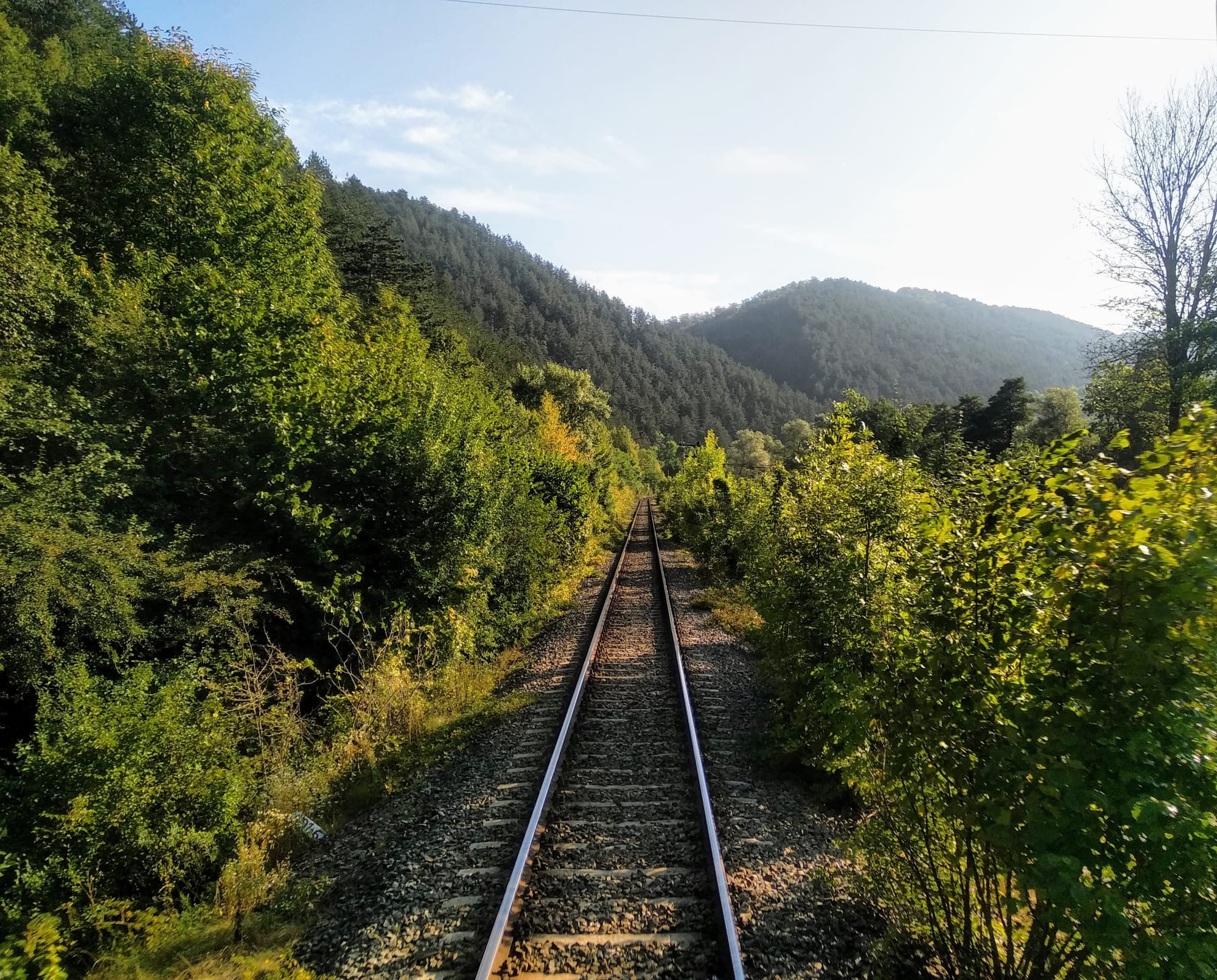 A single railway line recedes into the distance through a lush, green forest towards distant tree-covered mountains under a bright blue sky.