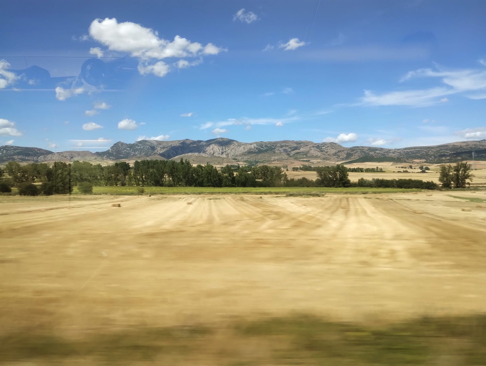 A view of a rural landscape with a golden-coloured field in the foreground, a line of trees, and rolling mountains under a blue sky with fluffy clouds.