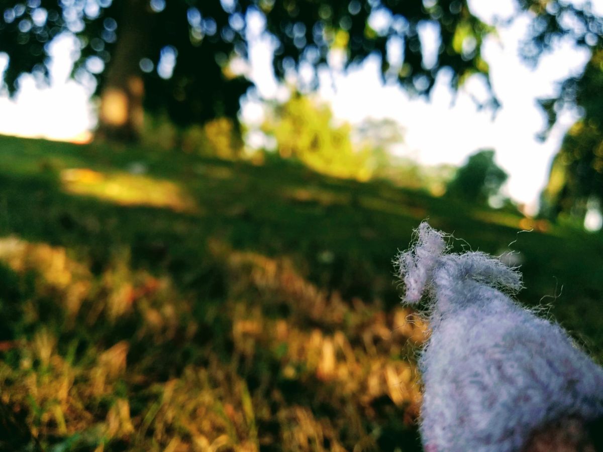 A finger puppet struggles to climb to the top of the Dirkslandberg.