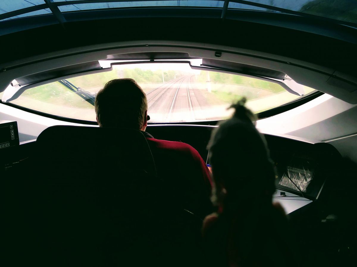 Finger puppet in the driver's cab of an ICE train.