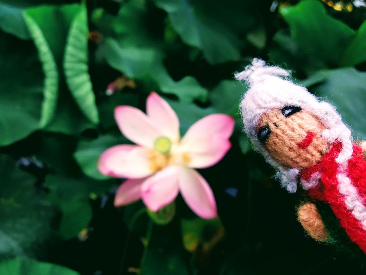 A relaxed a finger puppet undergoing a spa treatment next to a pink lotus flower in a lush green pond.
