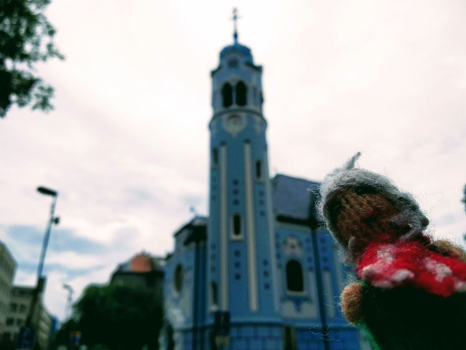 Day seven: Do videnia