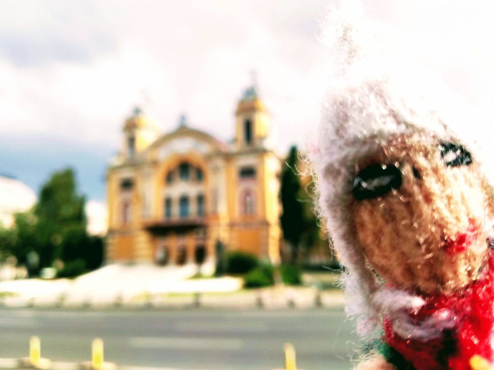 Day fifteen: Cluj-Napoca