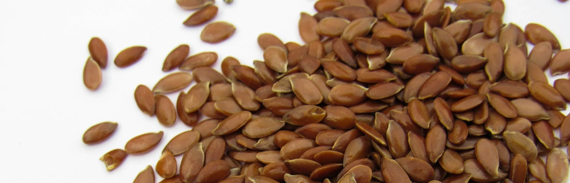 a pile of sunflower seeds on a white surface