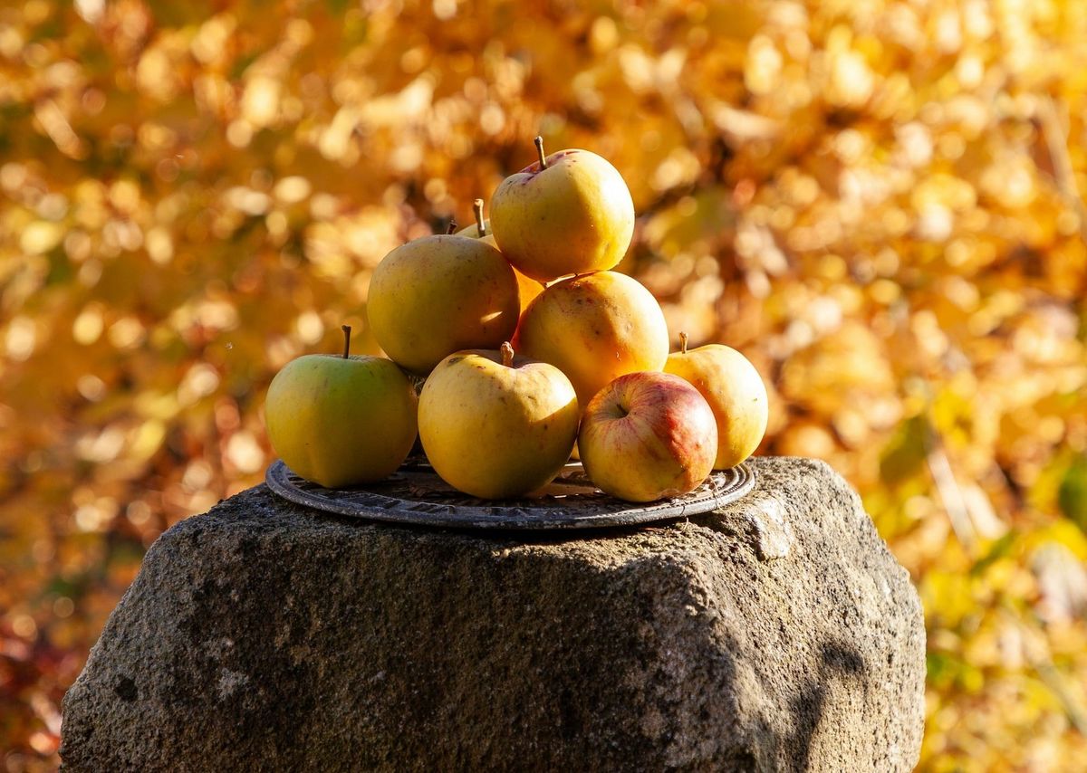 Herbst  – Zeit für Klarheit 🍂 Aktionsmonat