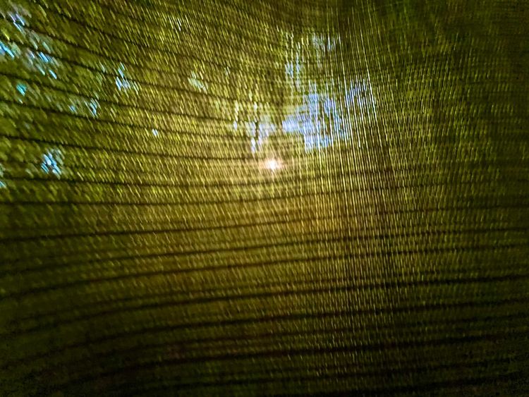 🍳Prompts for Breakfast, Bye Bye Social Media, Rate Cut & Synthetic Labor