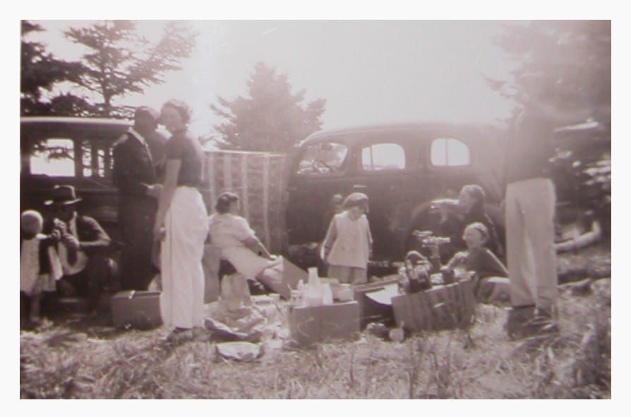 🦃Thanksgiving Edition 2025