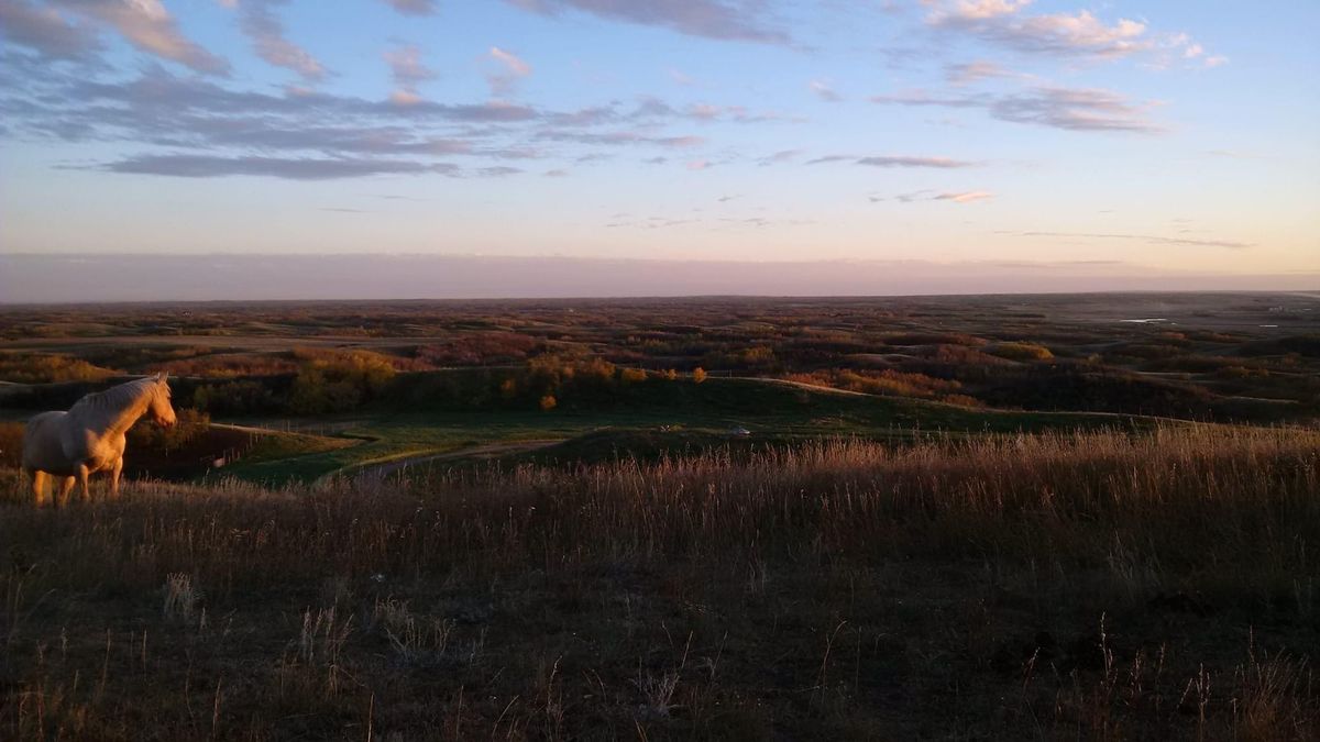 Dust, Grit and Grace: My Life Lessons on the Ranch