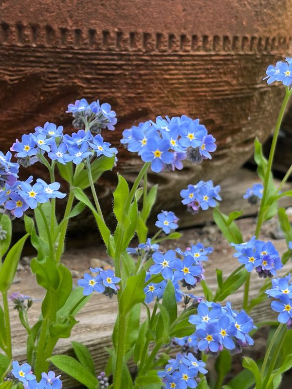 When the Answer is Slow to Arrive