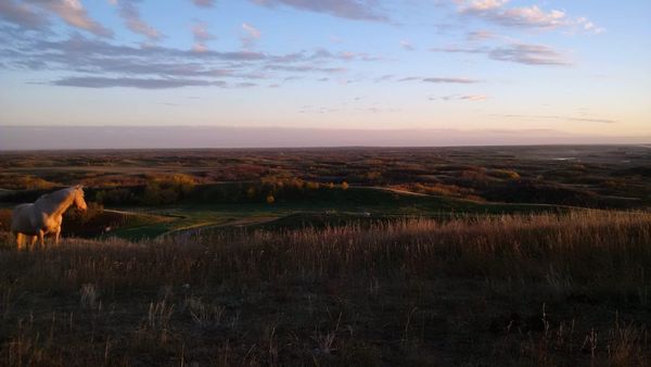 Dust, Grit and Grace: My Life Lessons on the Ranch