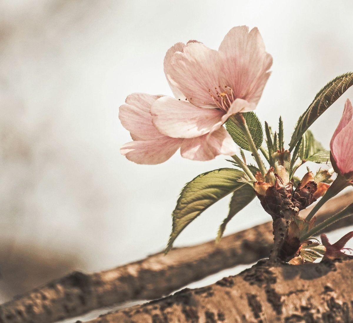 "We're killing women by trying to protect them"