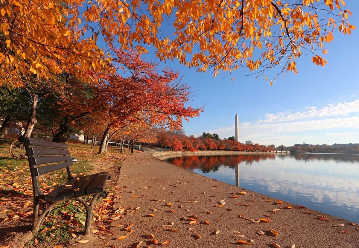 SCOOP: 3 Major Updates On Our Top Stories