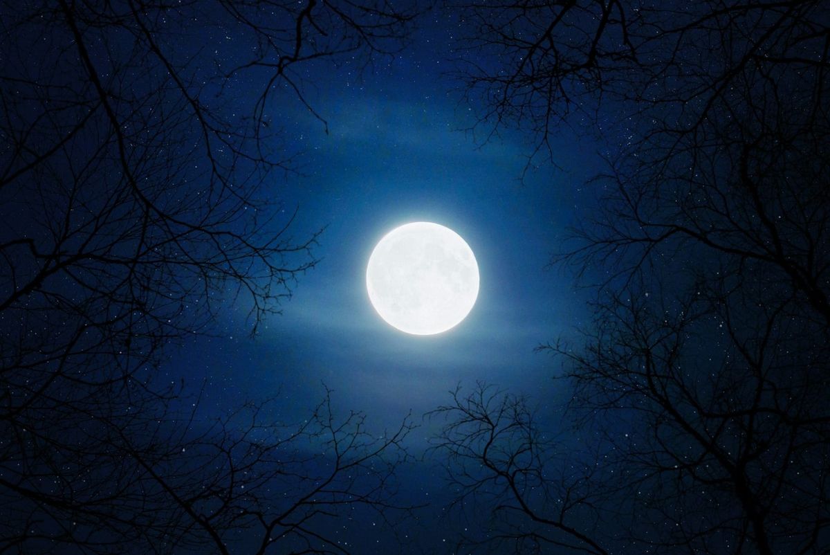 SCOOP: The Super Moon, the Shutdown & the National Guard Showdown