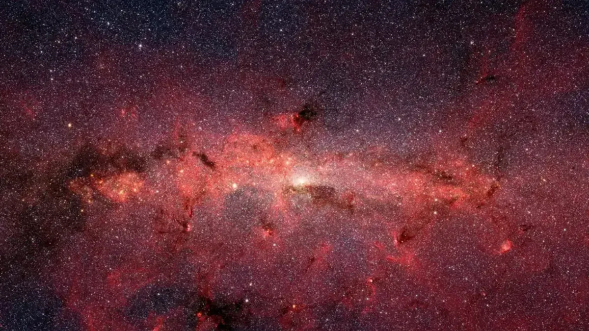 Space Sugar, Snakes, Stamps ... and Supplements Against Cancer?