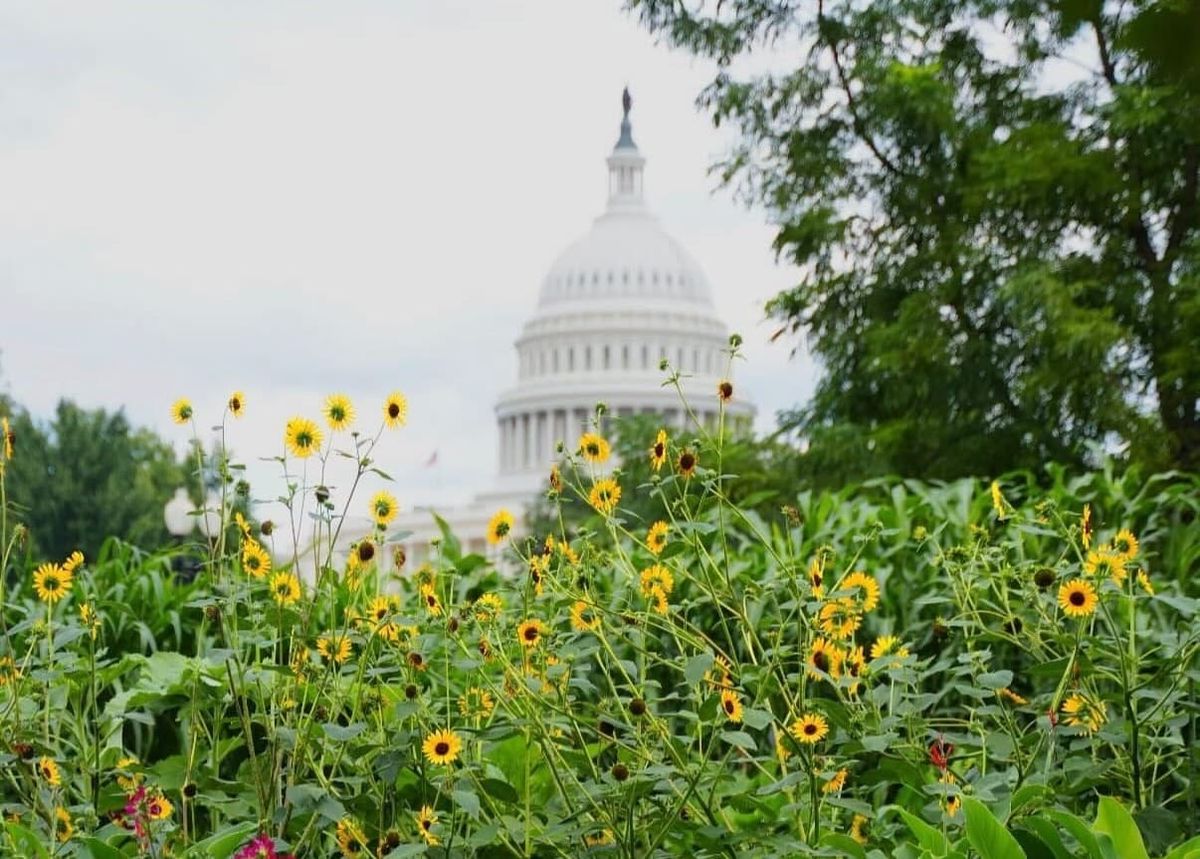 Weekend Digest: America Is Still In Bloom