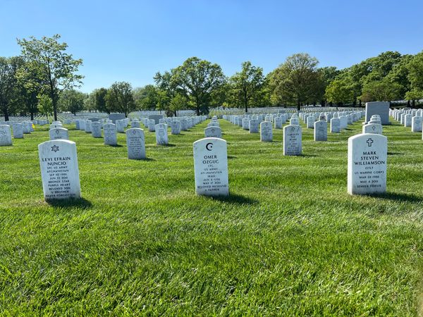 Weekend SCOOP: A Special Memorial Day Newsletter