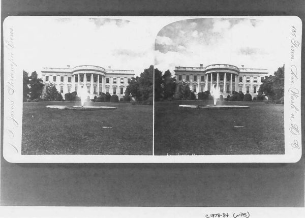 🌳 A Tribute to the Jackson Magnolia