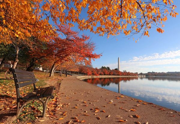 SCOOP: 3 Major Updates On Our Top Stories