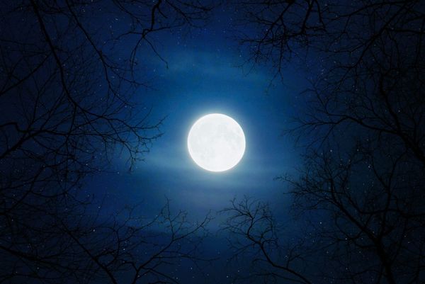 SCOOP: The Super Moon, the Shutdown & the National Guard Showdown