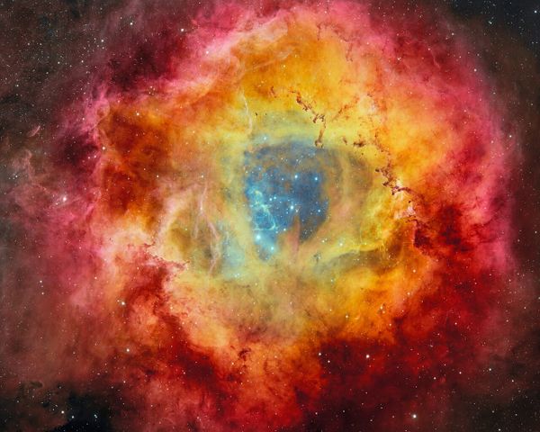 Your Weekend Digest: Cosmic Butterflies 🦋 & Quick News To Know