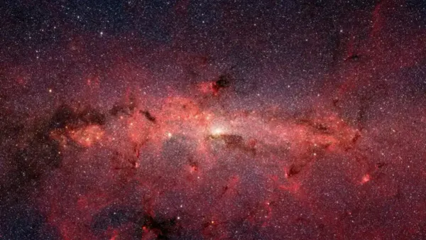 Space Sugar, Snakes, Stamps ... and Supplements Against Cancer?
