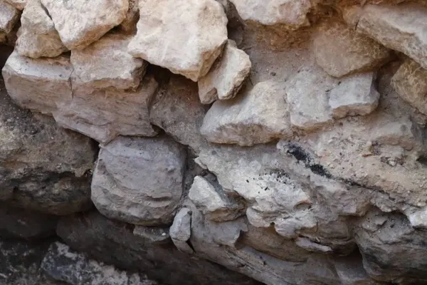 Where Paris Began? An Old Wall Offers New Clues