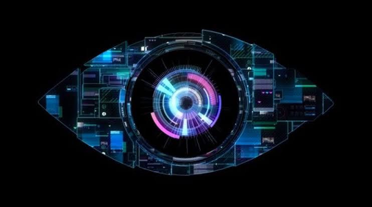 Beneath the Watchful Eye: The Tale of the Great Brother