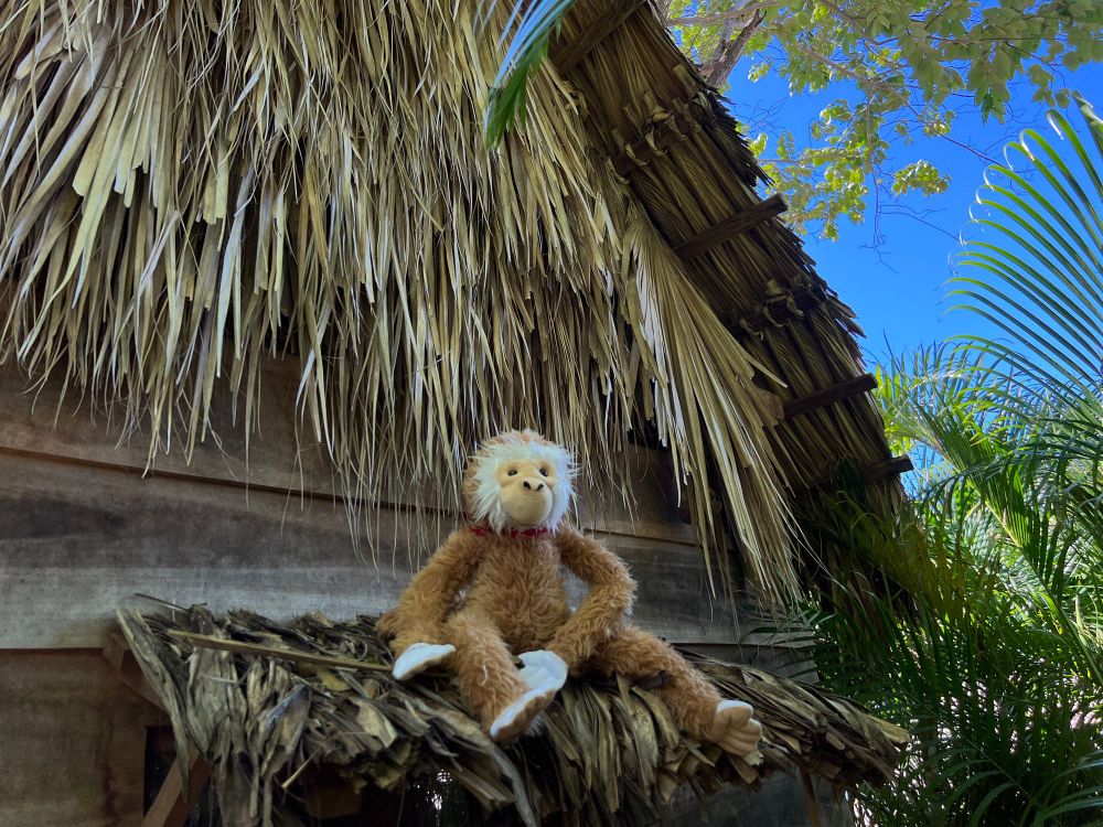 From Banking to Bungalows: A Canadian Banker's Journey to Costa Rica post image