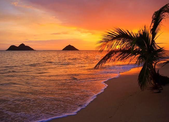 Good morning, Seekers! post image