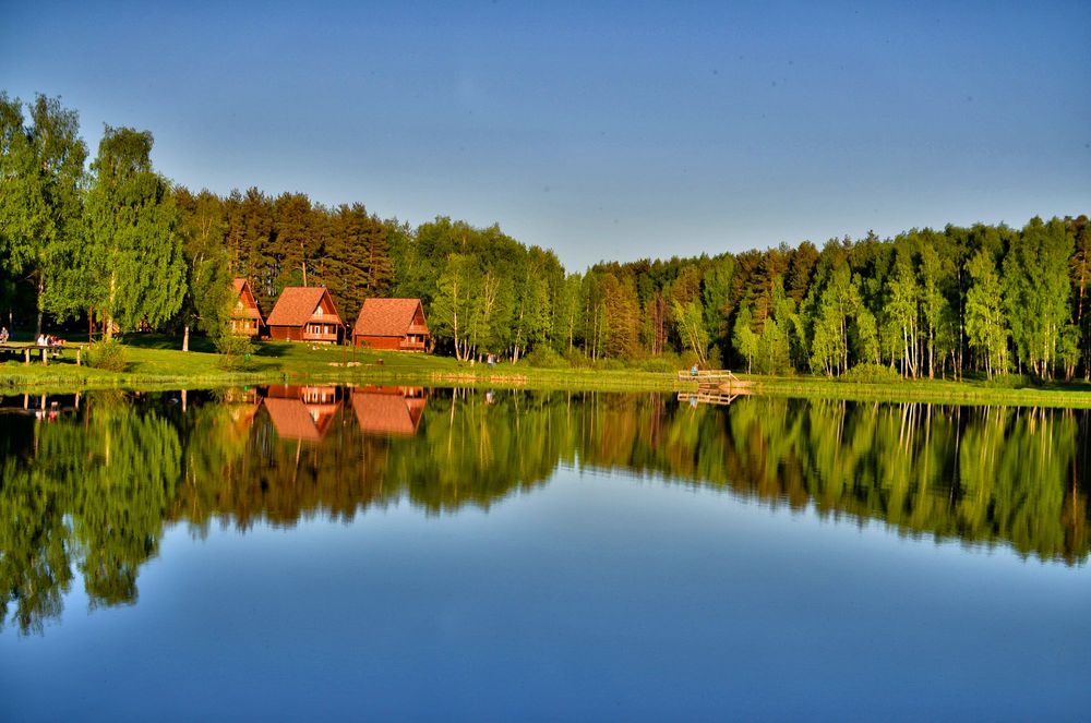 Russia's Pristine Eden: The Kologrievsky Forest Reserve – Unearthing the Gems of European Taiga post image