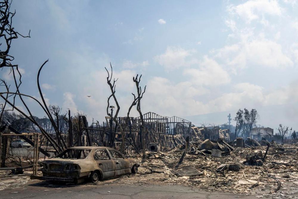 Maui's Wildfires: The Catastrophe That Brought an Island to its Knees post image