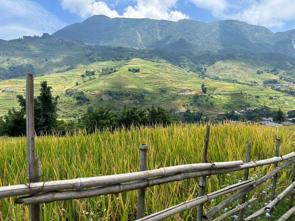 Ukrainian Women Seek Refuge in Vietnamese Mountains Amidst Mobilization post image