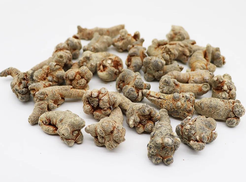 Panax Notoginseng: The Vietnamese Elixir with a Storied Past post image