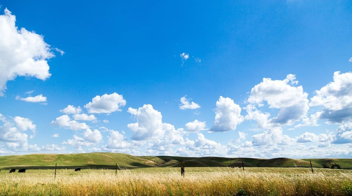 Sunny skies and mild temperatures expected across southeastern Alberta Sunday
