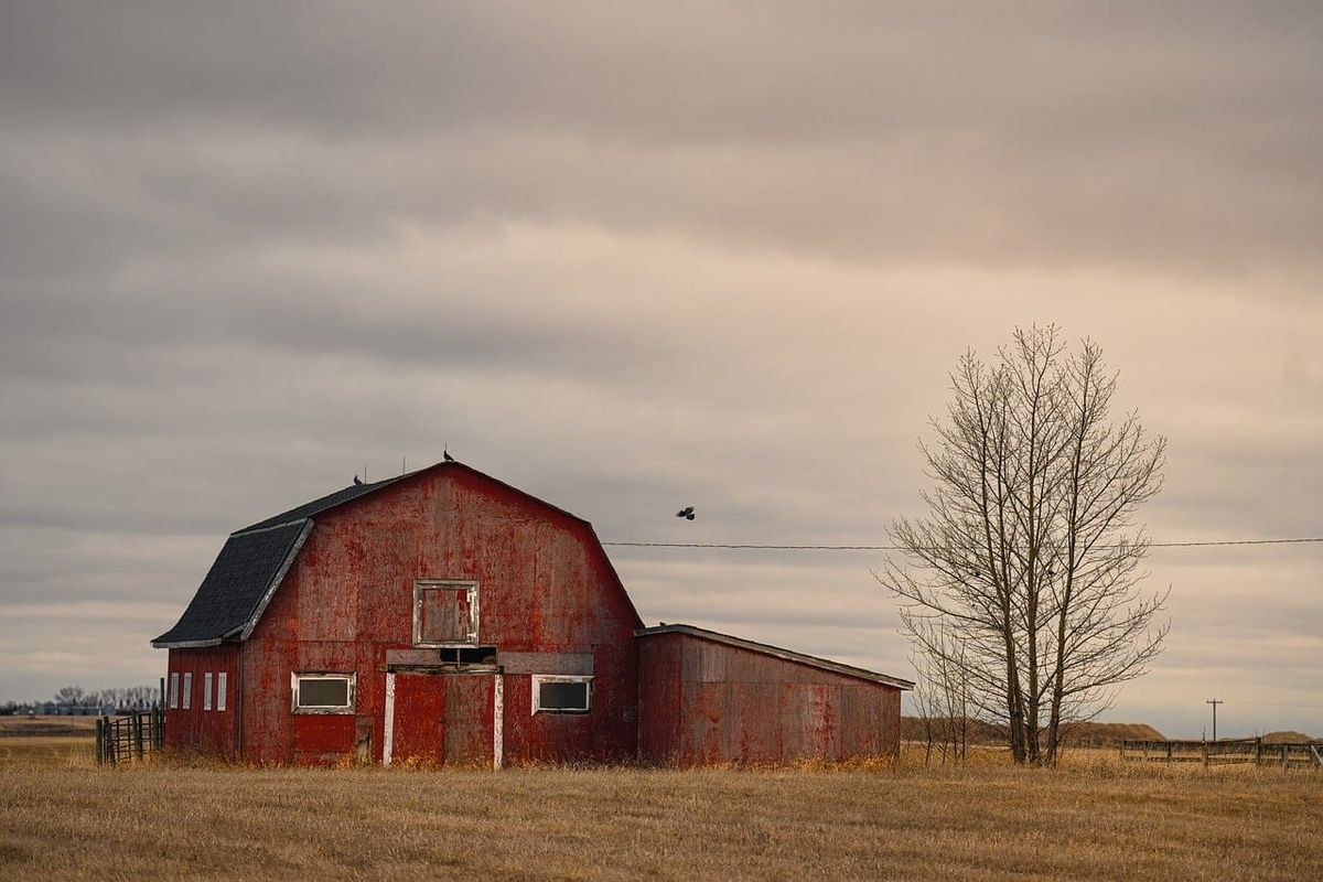 Rain, flurries and snow expected across southeastern Alberta Sunday
