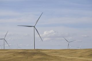 Grass bending in strong wind on the prairie