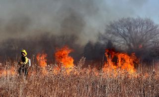 A wildfire burning across open prairie grassland with a column of smoke rising into the sky.