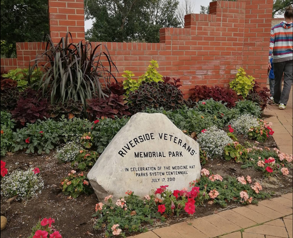 Medicine Hat removes 12 trees in Riverside Veterans' Memorial Park, plans spring replanting