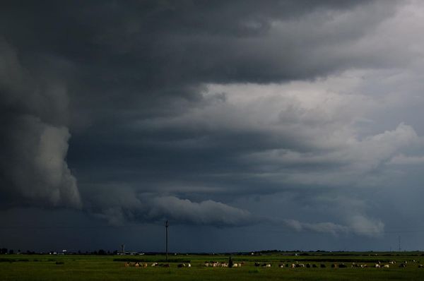 Dark clouds sweep across an open Alberta prairie under a grey October sky with grass bending in strong wind.