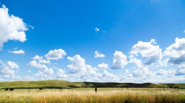 A wide open Alberta prairie under a clear blue sky on a sunny October morning.