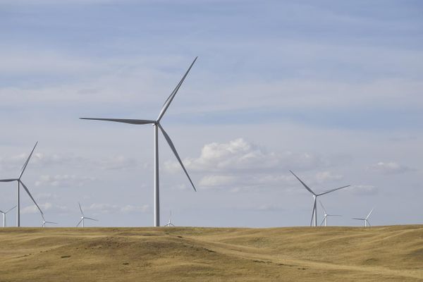 Grass bending in strong wind on the prairie